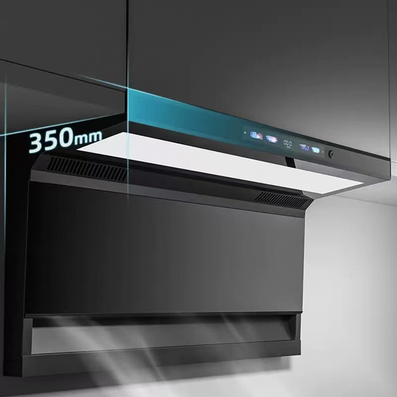 110/220V Versi Bahasa Inggris, - Commercial Kitchen Hood ulasan dan harga